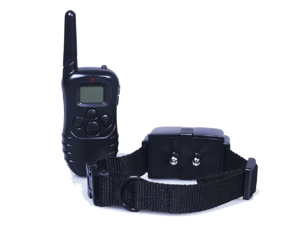 Collier electrique chien