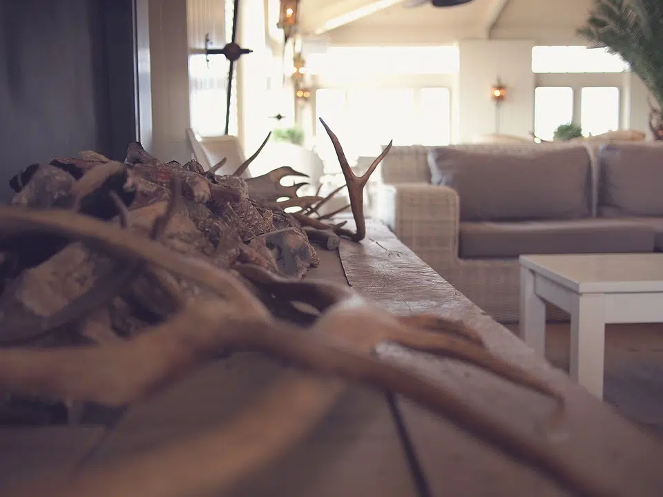 Déco bois