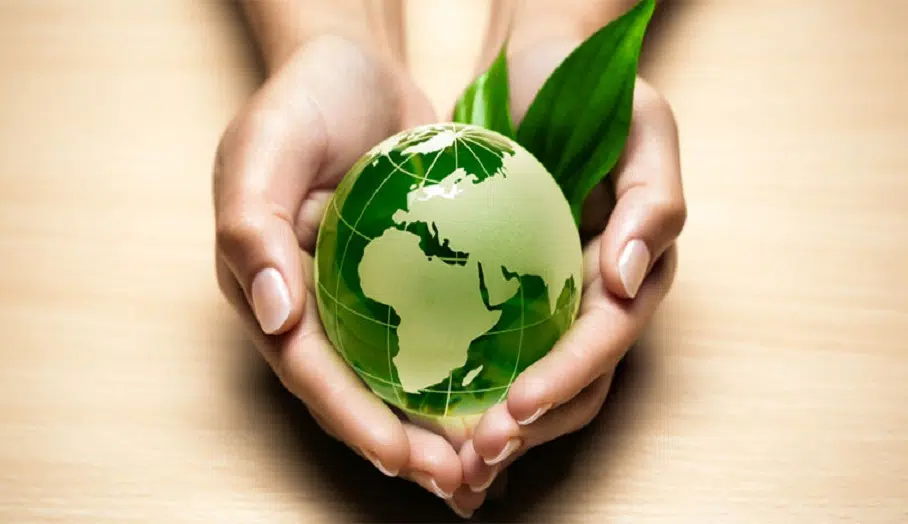 La société Eco environnement