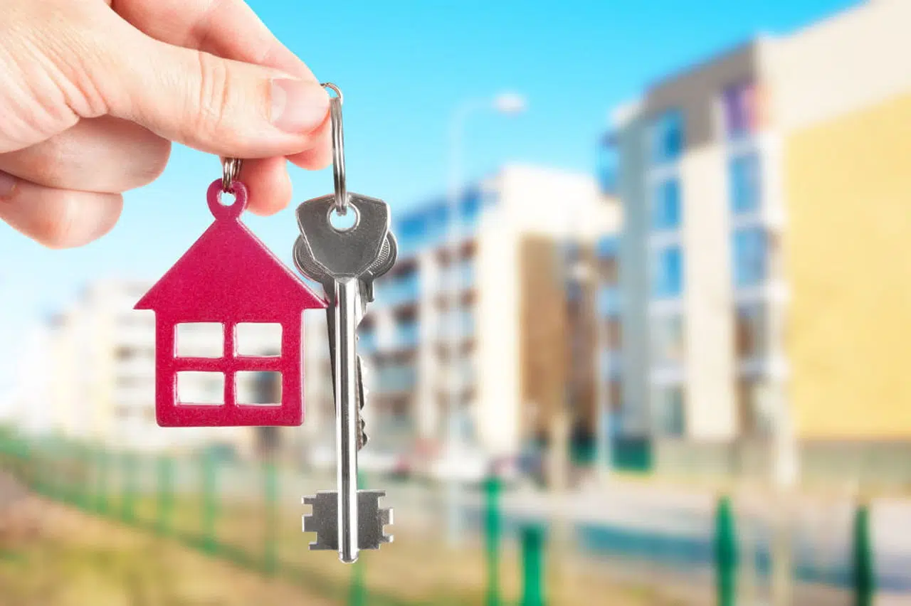 La location immobilière