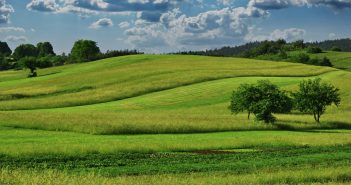 L’agriculture raisonnée : mieux comprendre son problème pour envisager une solution durable agriculture durable
