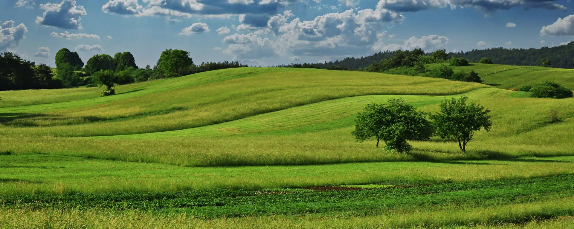 agriculture durable