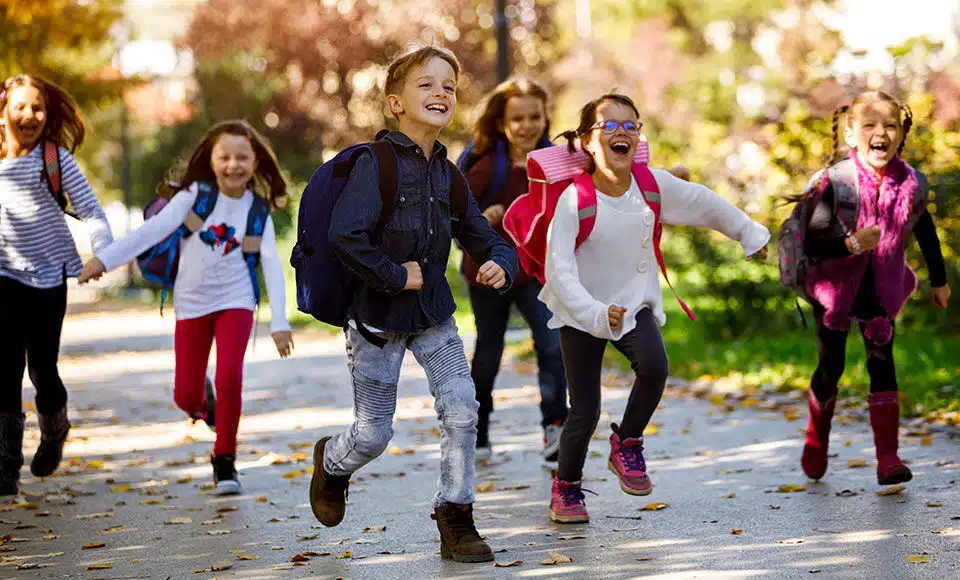 assurance scolaire BTS