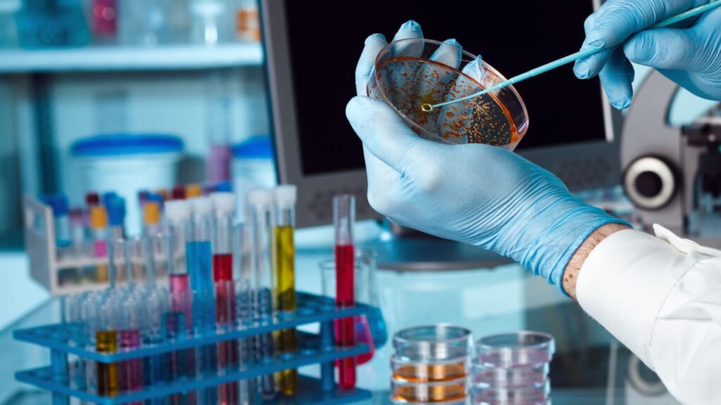 Comment mettre en place votre propre laboratoire d’analyses médicales