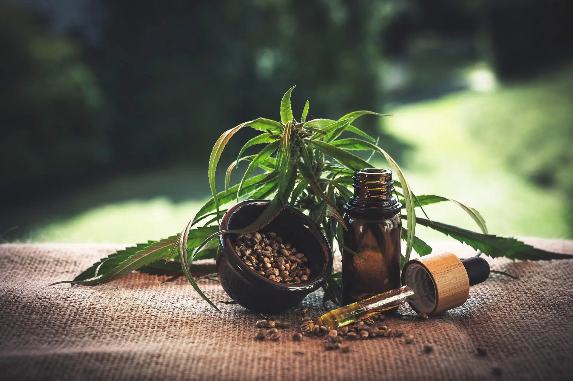 Quelles sont les conditions pour vendre du CBD ?