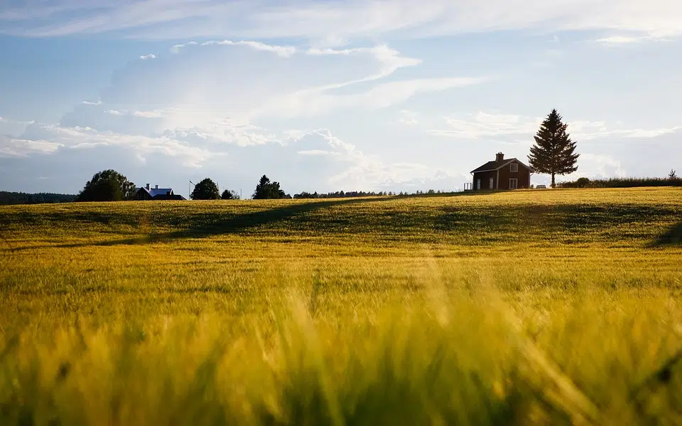 Construction: comment choisir son terrain?