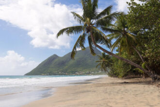Conseils essentiels pour bien organiser son séjour en Martinique