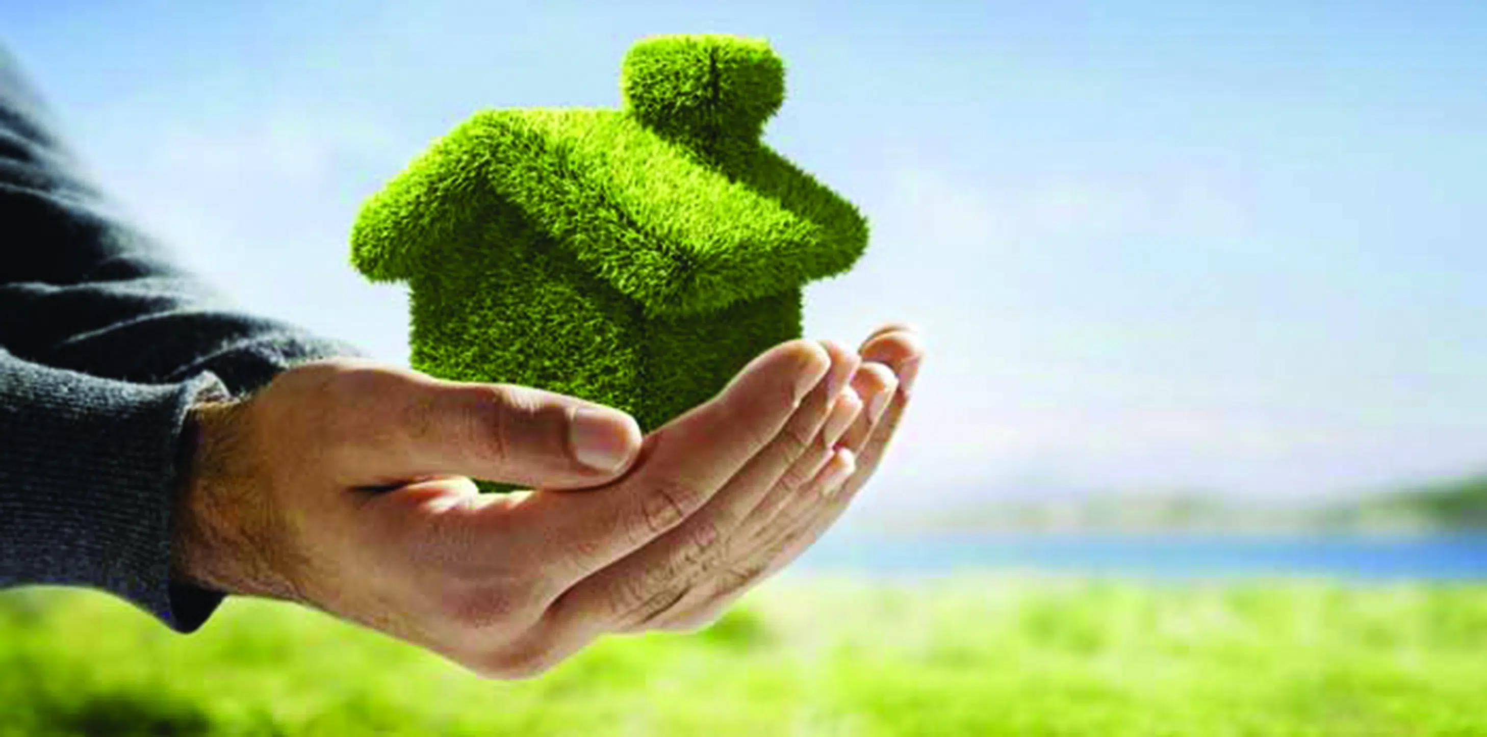 Eco Environnement